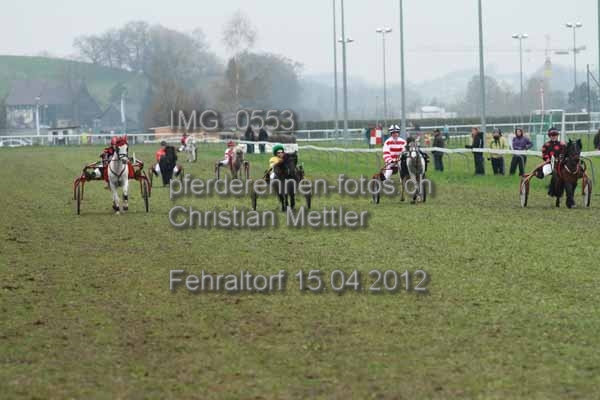 IMG 0553 prot