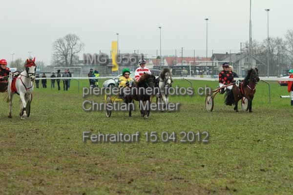 IMG 0561 prot