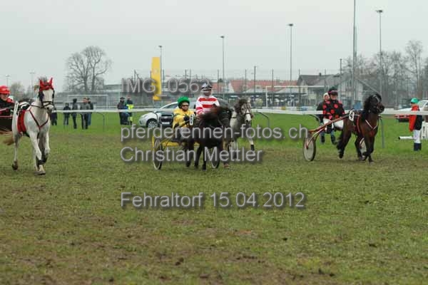IMG 0562 prot