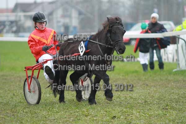 IMG 0567 prot