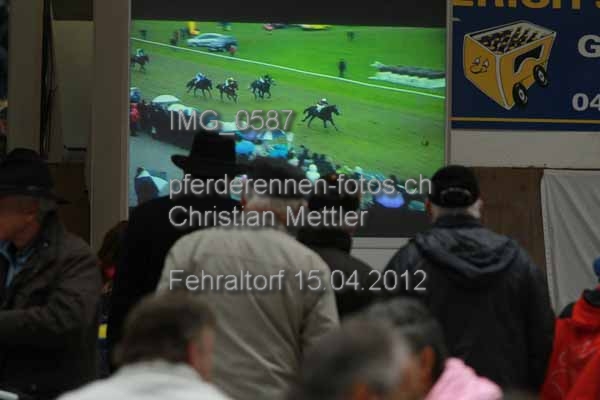 IMG 0587 prot