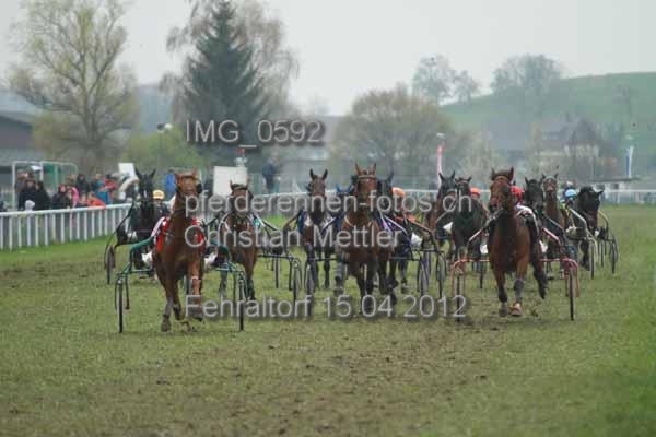 IMG 0592 prot