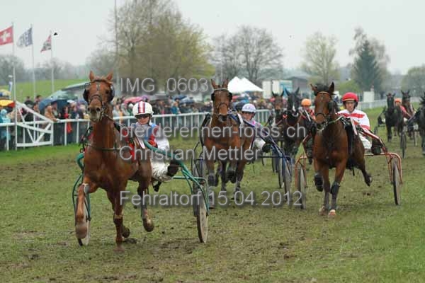 IMG 0603 prot