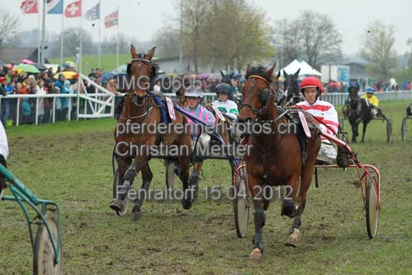 IMG 0606 prot