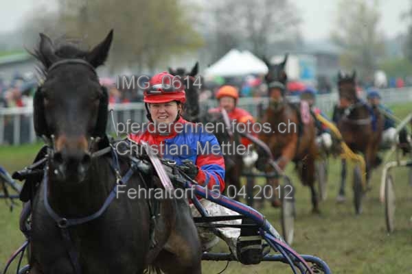 IMG 0614 prot