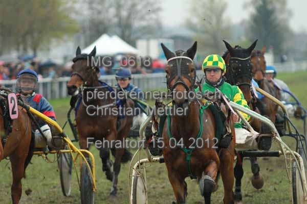 IMG 0618 prot