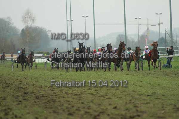 IMG 0630 prot