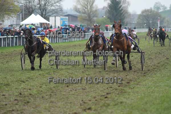 IMG 0650 prot