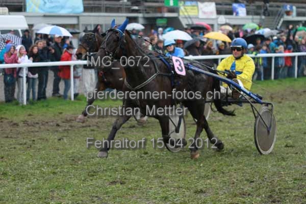 IMG 0672 prot