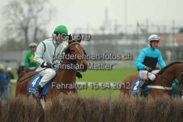 IMG 0679 prot