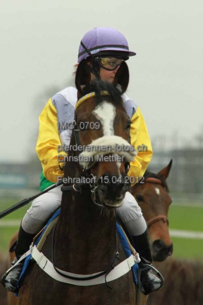 IMG 0709 prot