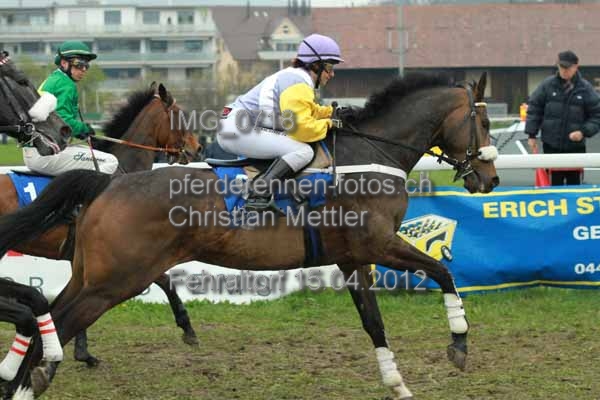 IMG 0718 prot