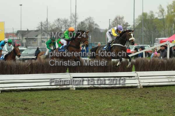 IMG 0724 prot