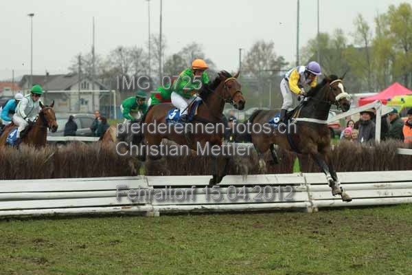 IMG 0725 prot