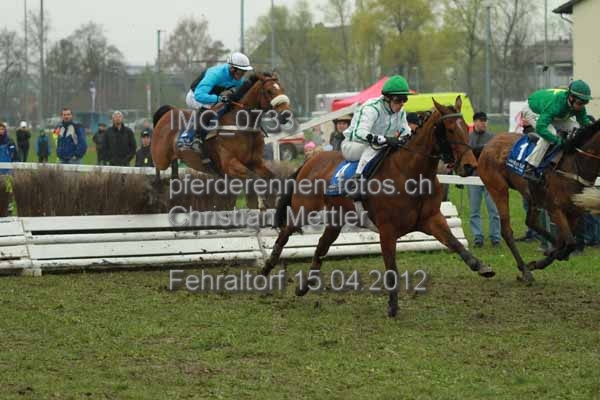 IMG 0733 prot