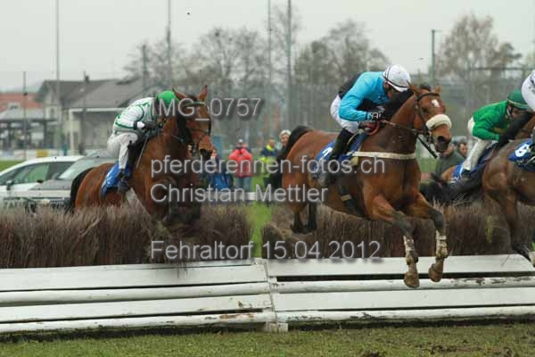 IMG 0757 prot