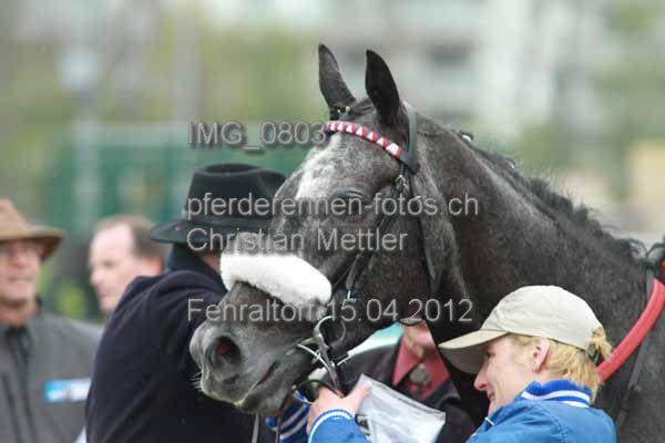 IMG 0803 prot