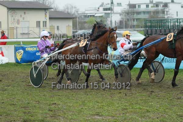 IMG 0816 prot