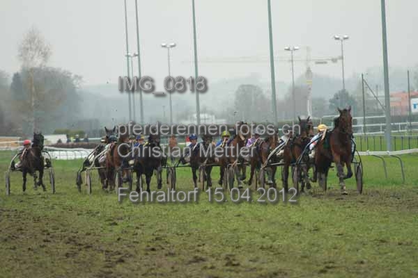 IMG 0818 prot