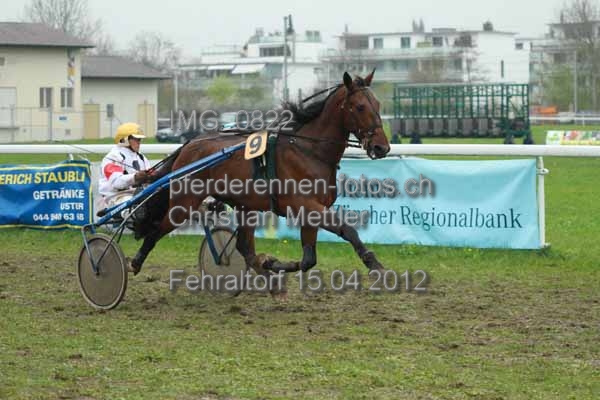 IMG 0822 prot
