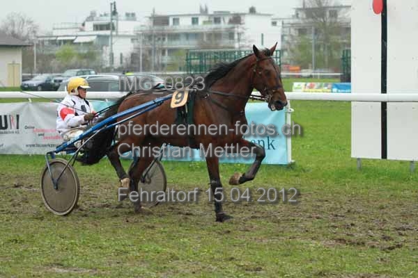 IMG 0823 prot
