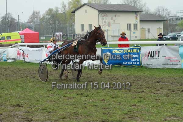 IMG 0827 prot
