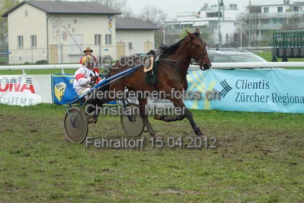 IMG 0830 prot