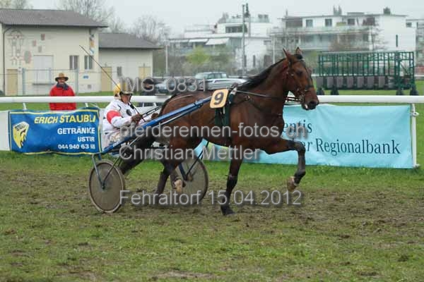 IMG 0831 prot