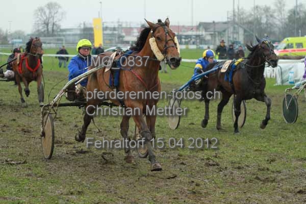 IMG 0837 prot