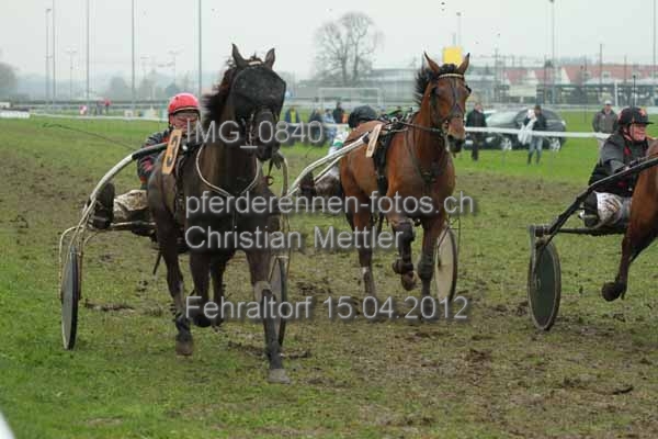 IMG 0840 prot