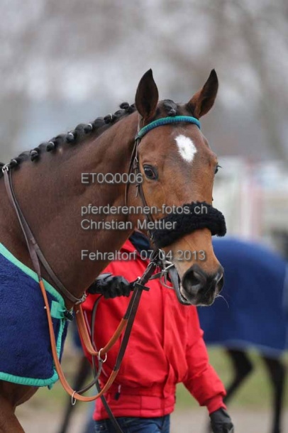ET0Q0006 prot
