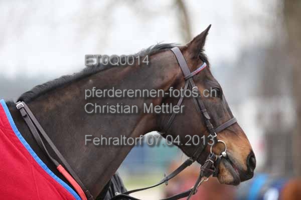 ET0Q0014 prot