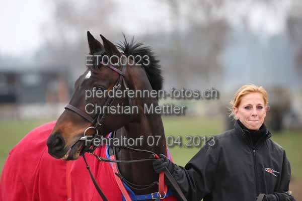 ET0Q0023 prot