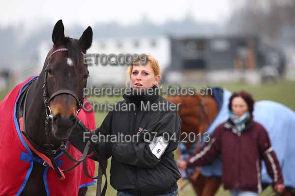 ET0Q0029 prot