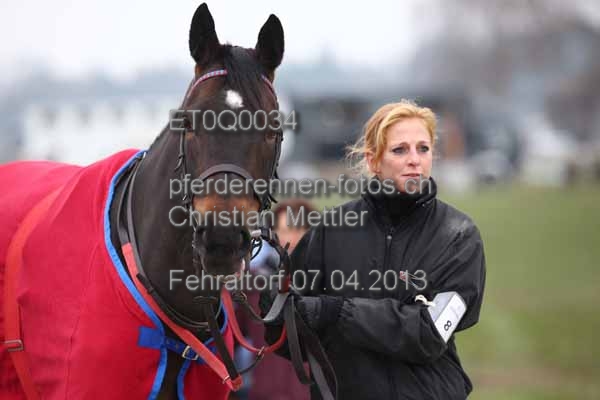 ET0Q0034 prot