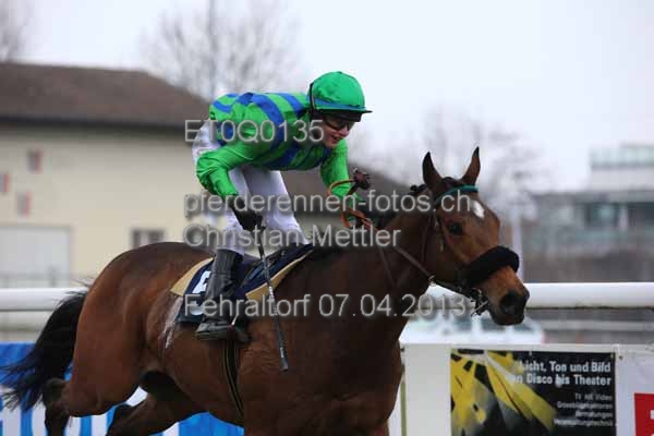 ET0Q0135 prot