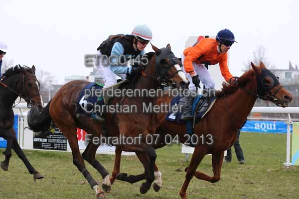 ET0Q0145 prot