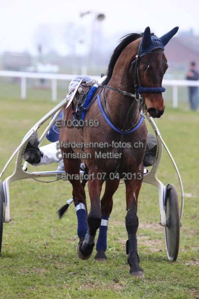 ET0Q0169 prot