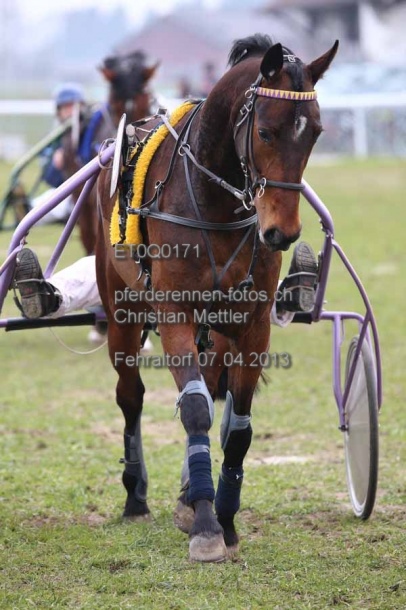 ET0Q0171 prot