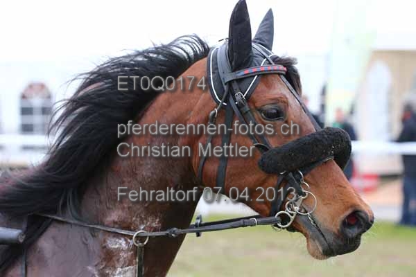 ET0Q0174 prot