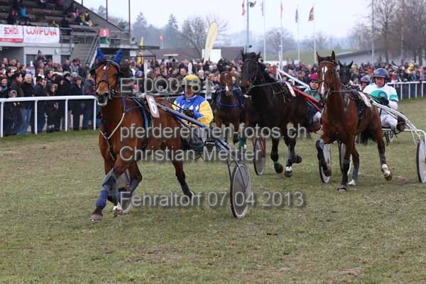 ET0Q0181 prot