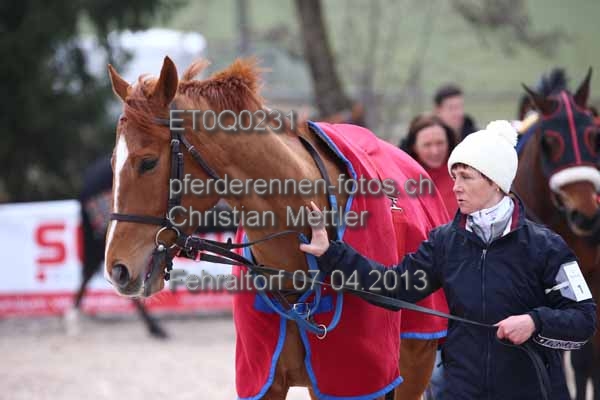 ET0Q0231 prot