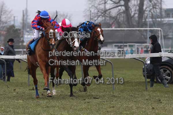 ET0Q0325a prot