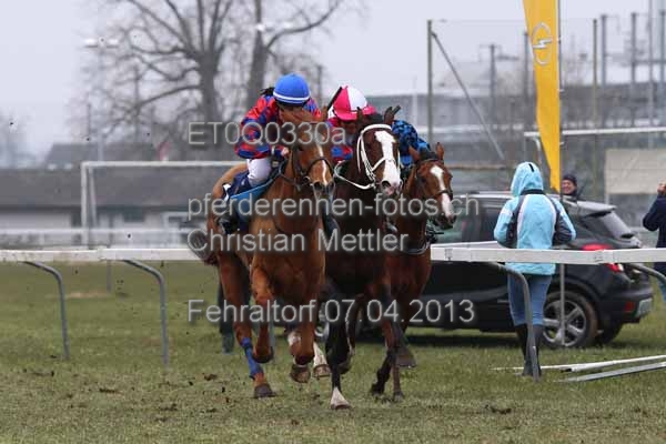 ET0Q0330a prot