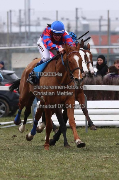 ET0Q0334a prot