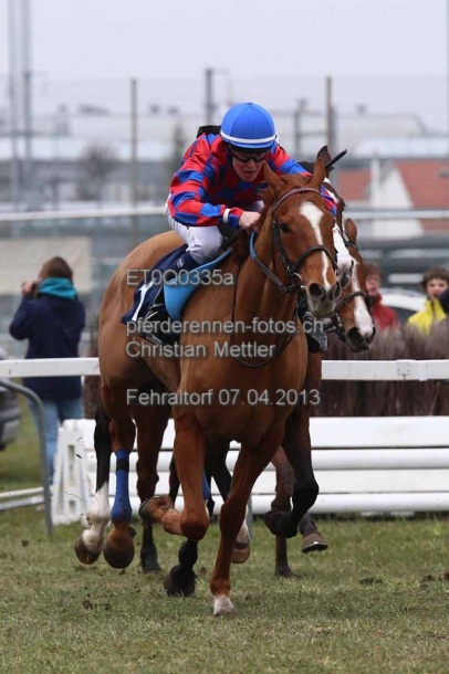ET0Q0335a prot