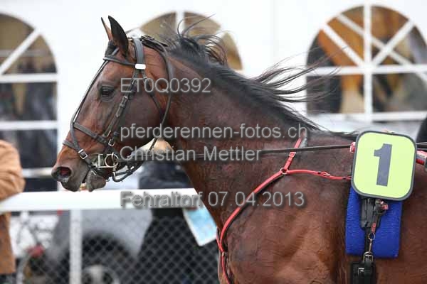 ET0Q0392 prot