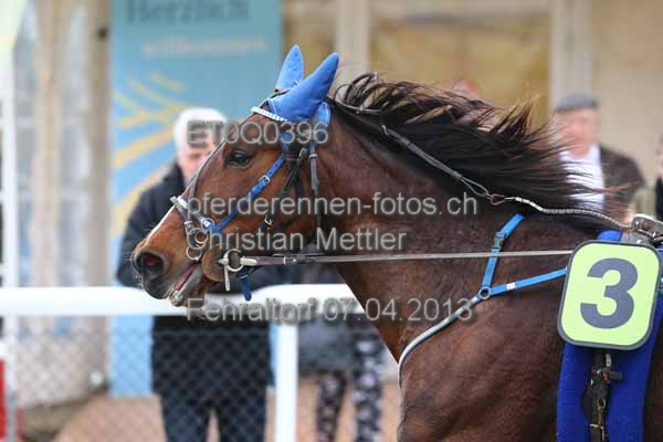 ET0Q0396 prot