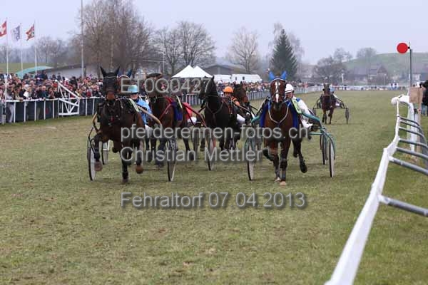 ET0Q0427 prot