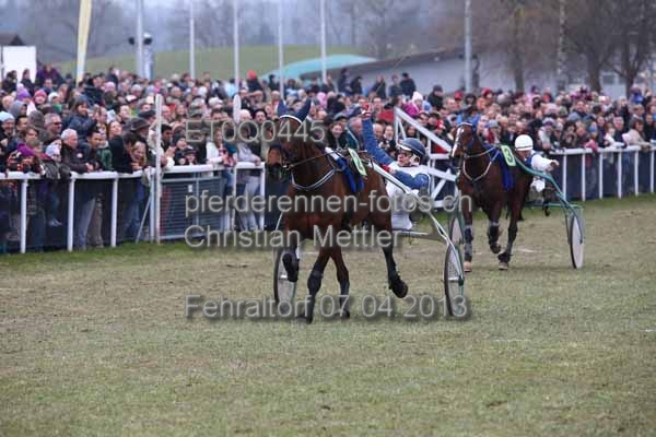 ET0Q0445 prot